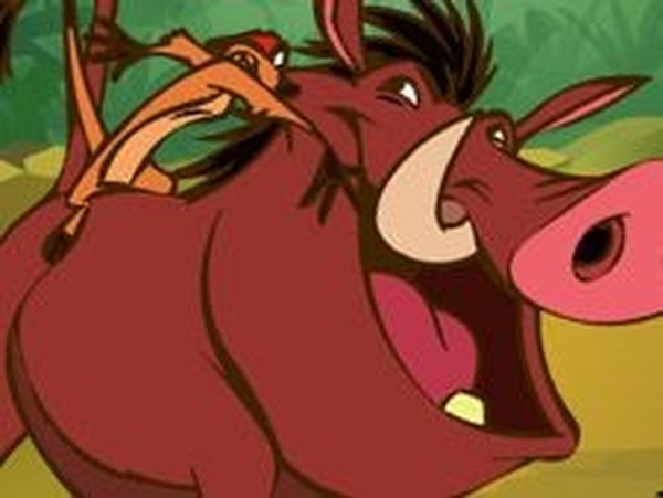 Timon and Pumbaa Color Bug Puzzle