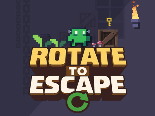 Gravity Maze Escape Puzzle