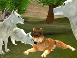 Wild Wolves: Pack Leader Online Animal Game