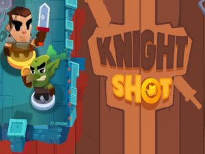 Knight Shot Online Arcade Game