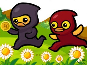 Ducky Adventure Online Cooperative Game