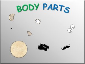Bodyparts Puzzle Game - Collect and Explore
