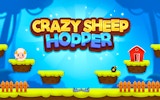Crazy Sheep Hooper Online Game