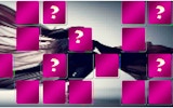 Aerial Silk Artist Memory Match Puzzle Game
