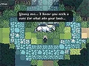Whispering Woods Riddle Quest